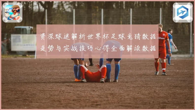 资深球迷解析世界杯足球竞猜数据走势与实战技巧心得全面解读数据研判