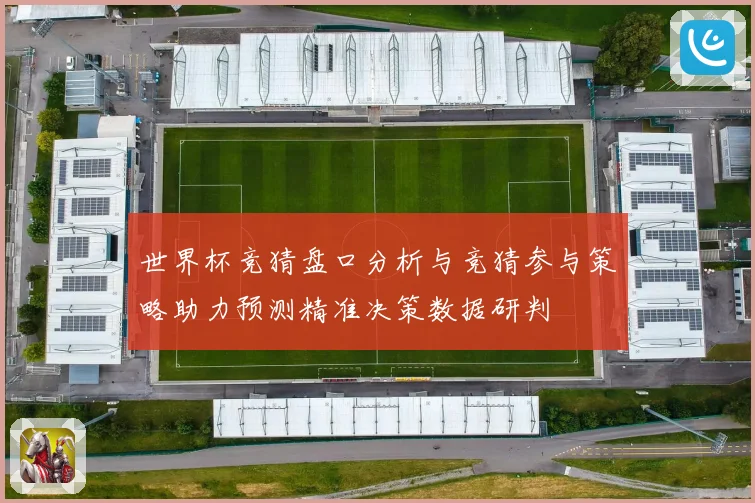 世界杯竞猜盘口分析与竞猜参与策略助力预测精准决策数据研判