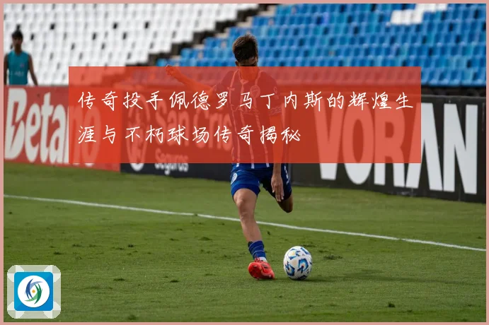 传奇投手佩德罗马丁内斯的辉煌生涯与不朽球场传奇揭秘