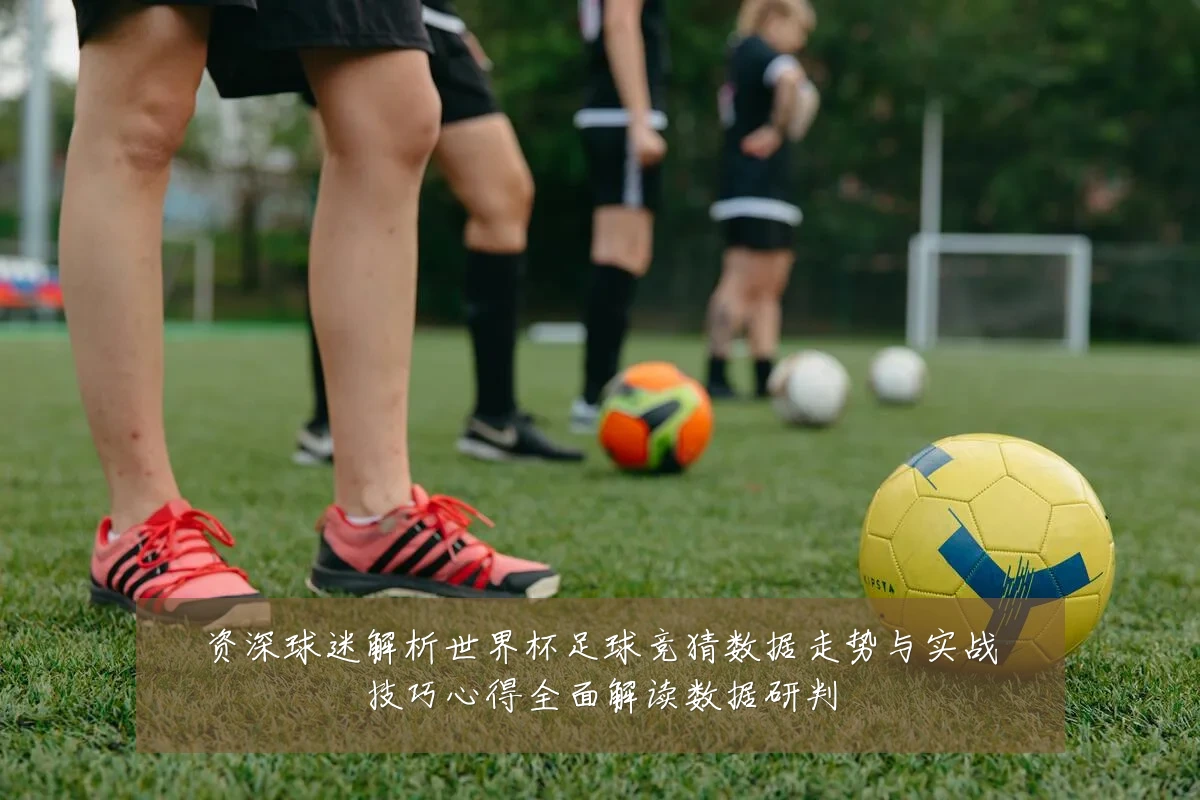资深球迷解析世界杯足球竞猜数据走势与实战技巧心得全面解读数据研判