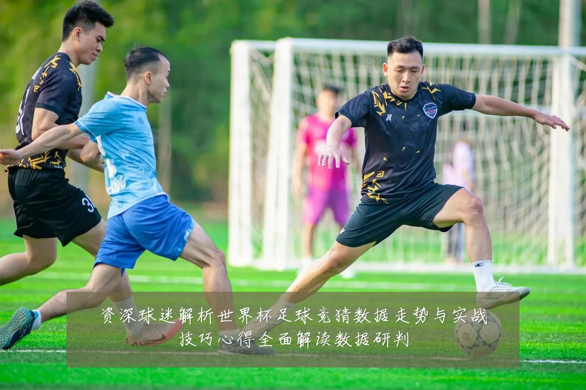 资深球迷解析世界杯足球竞猜数据走势与实战技巧心得全面解读数据研判